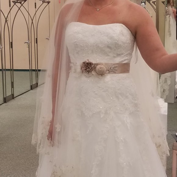 Wedding Dress - NWT Jewel by David's Bridal - Picture 10 of 11